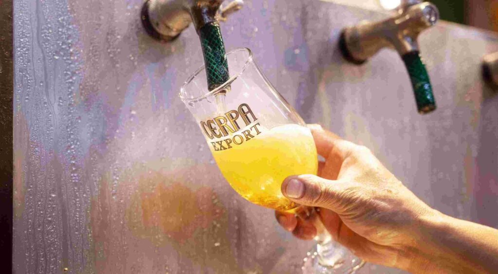 Do malte ao copo: especialistas explicam curiosidades sobre a cerveja que muitos consumidores ainda desconhecem
