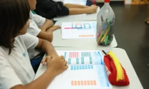 MEC estabelece novas diretrizes para ensino de arte na educação básica