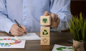 Sebrae defende vocações regionais como eixo central para desenvolvimento sustentável do Brasil
