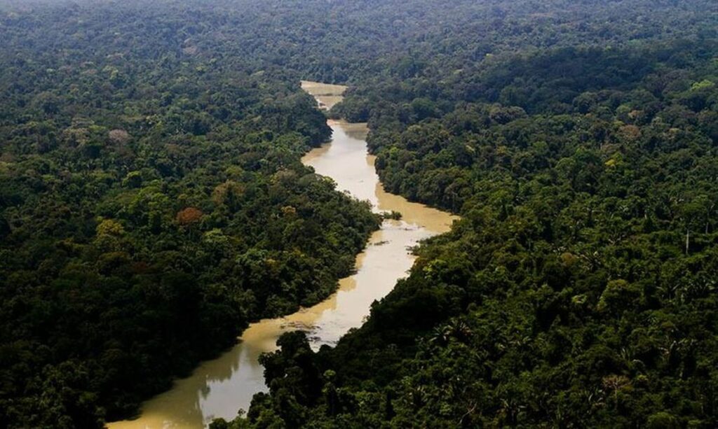 BNDES aprova R$ 200 milhões para restaurar áreas da Amazônia 1 BNDES aprova R$ 200 milhões para restaurar áreas da Amazônia