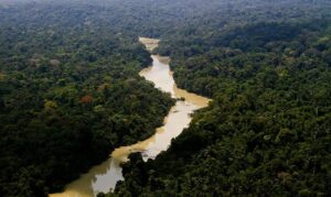 BNDES aprova R$ 200 milhões para restaurar áreas da Amazônia