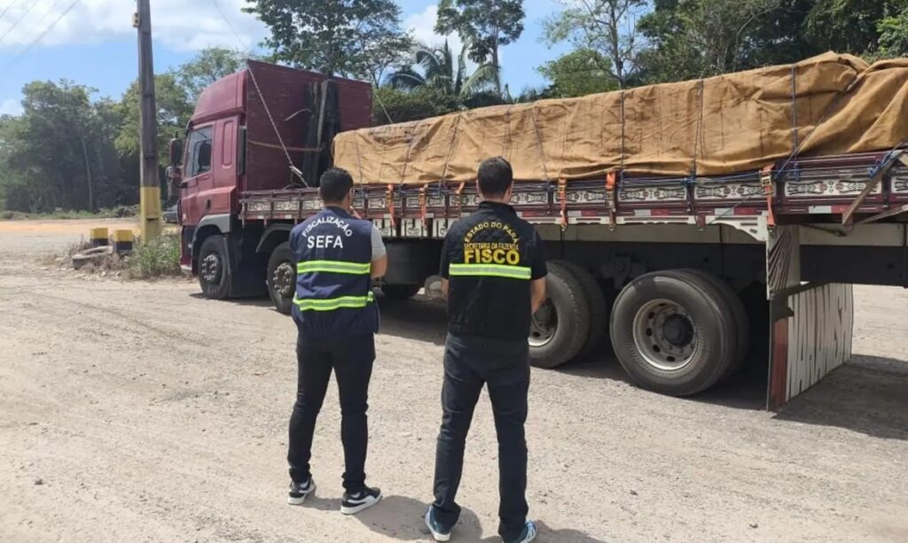 Operação em Cachoeira do Piriá apreende carga de baterias avaliada em mais de R$ 911 mil 1 Operação em Cachoeira do Piriá apreende carga de baterias avaliada em mais de R$ 911 mil