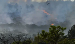 Pará recebe aeronaves para combater queimadas na Amazônia