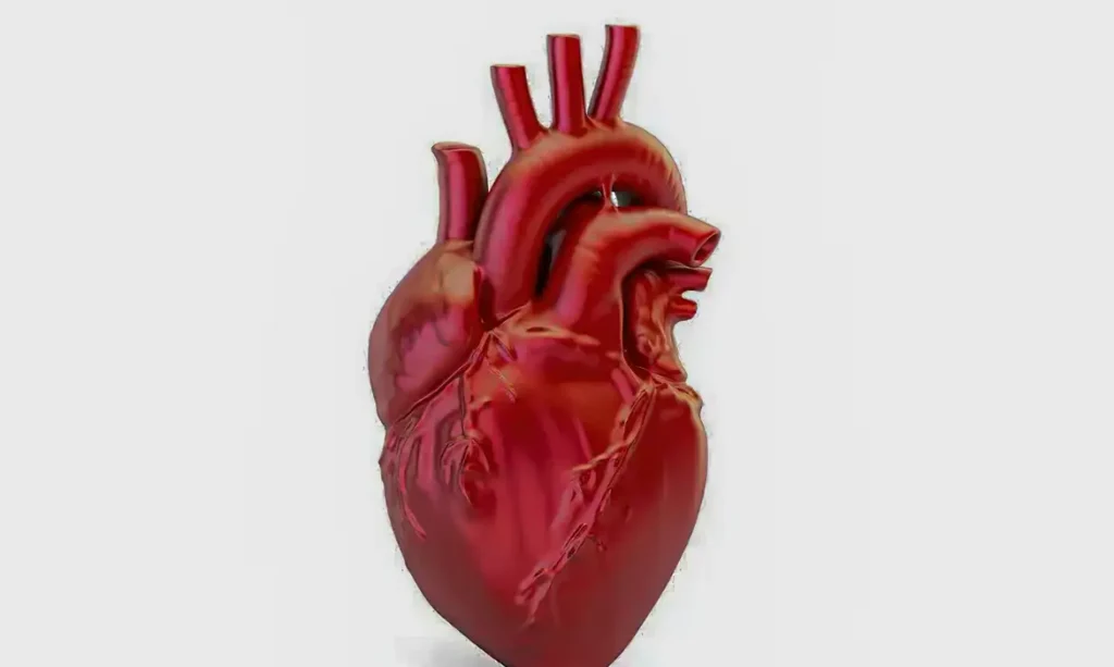 A cada 72 segundos, uma pessoa morre por doença cardiovascular no Brasil; óbitos chegam a 318.945 em 2026 1 A cada 72 segundos, uma pessoa morre por doença cardiovascular no Brasil; óbitos chegam a 318.945 em 2026