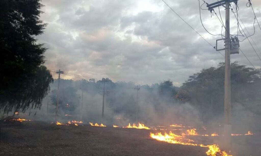 Pará contabiliza 8,6 mil focos de incêndio e enfrenta riscos à rede elétrica 1 Pará contabiliza 8,6 mil focos de incêndio e enfrenta riscos à rede elétrica