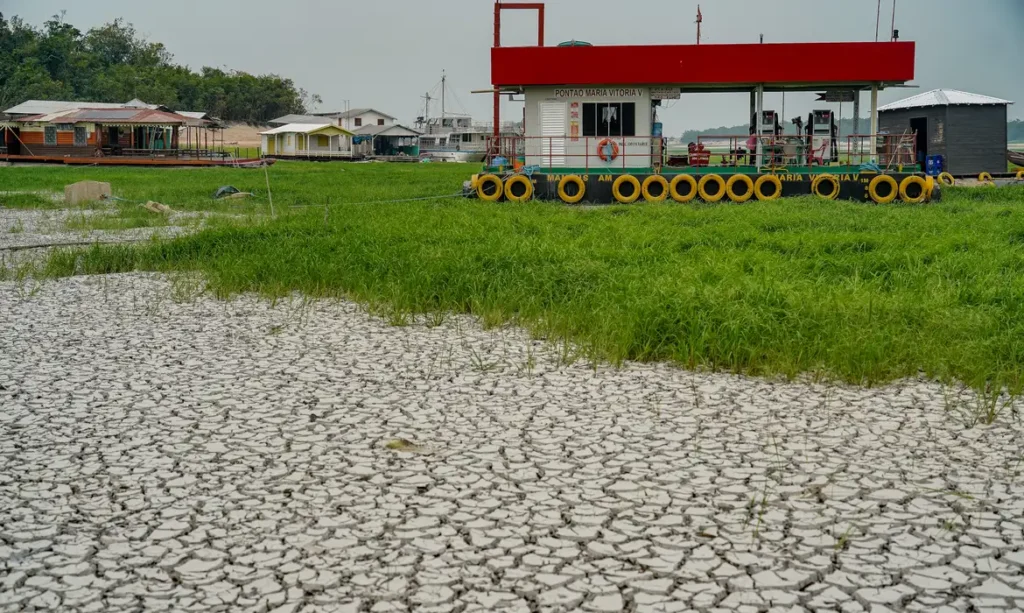 Campanha arrecada alimentos para afetados por seca no Amazonas 1 Campanha arrecada alimentos para afetados por seca no Amazonas