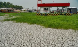 Campanha arrecada alimentos para afetados por seca no Amazonas